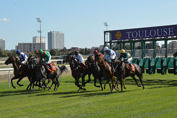 Grans National du Trot à l'hippodrome de Toulouse le 20 novembre 2024.